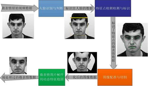 南方观察丨人工智能时代的公共文化服务效能评估 技术赋能与路径重塑
